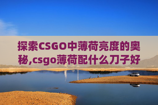 探索CSGO中薄荷亮度的奥秘,csgo薄荷配什么刀子好看