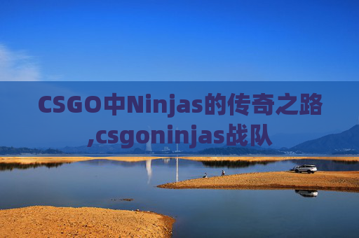 CSGO中Ninjas的传奇之路,csgoninjas战队