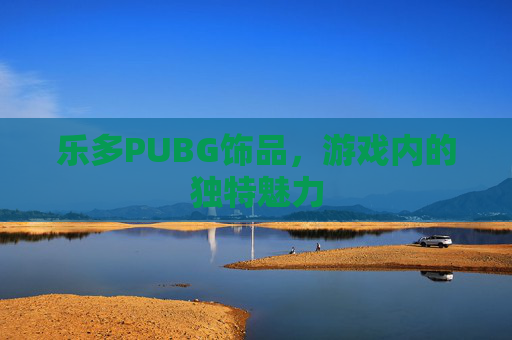 乐多PUBG饰品，游戏内的独特魅力
