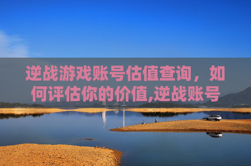 逆战游戏账号估值查询，如何评估你的价值,逆战账号价值查询