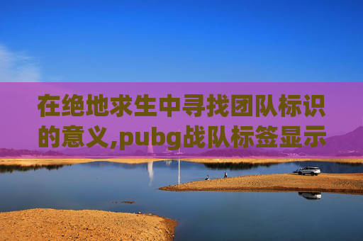 在绝地求生中寻找团队标识的意义,pubg战队标签显示