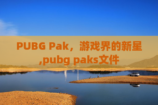 PUBG Pak，游戏界的新星,pubg paks文件