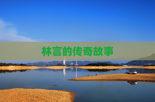 林言的传奇故事