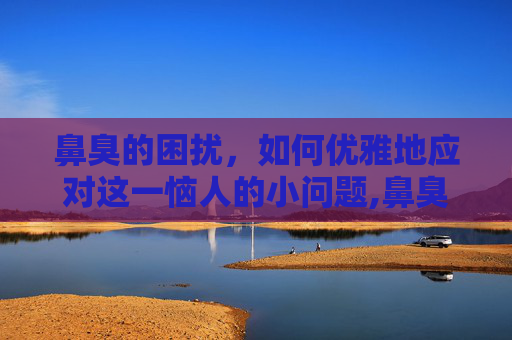 鼻臭的困扰，如何优雅地应对这一恼人的小问题,鼻臭什么原因