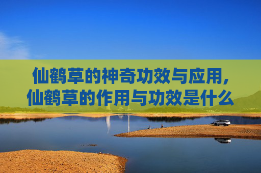 仙鹤草的神奇功效与应用,仙鹤草的作用与功效是什么