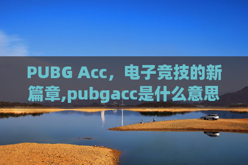 PUBG Acc，电子竞技的新篇章,pubgacc是什么意思