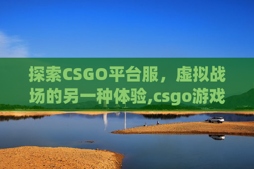探索CSGO平台服，虚拟战场的另一种体验,csgo游戏平台