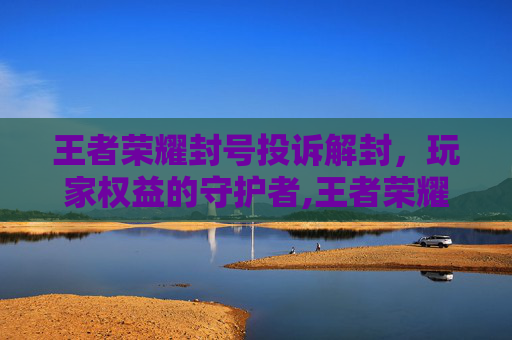 王者荣耀封号投诉解封，玩家权益的守护者,王者荣耀封号投诉解封流程