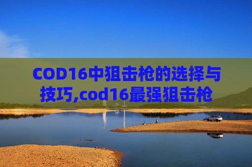 COD16中狙击枪的选择与技巧,cod16最强狙击枪