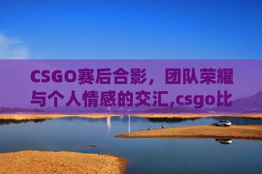 CSGO赛后合影，团队荣耀与个人情感的交汇,csgo比赛结果