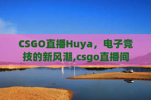 CSGO直播Huya，电子竞技的新风潮,csgo直播间