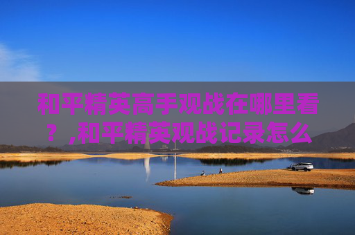 和平精英高手观战在哪里看？,和平精英观战记录怎么看