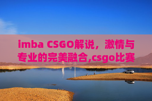 imba CSGO解说，激情与专业的完美融合,csgo比赛解说
