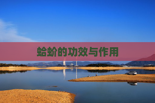 蛤蚧的功效与作用