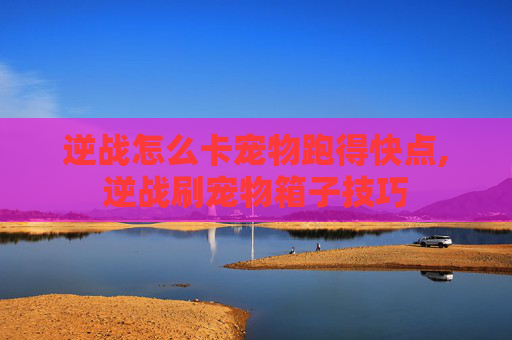 逆战怎么卡宠物跑得快点,逆战刷宠物箱子技巧