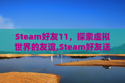 Steam好友11，探索虚拟世界的友谊,Steam好友送礼有啥限制