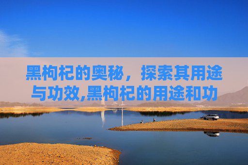 黑枸杞的奥秘，探索其用途与功效,黑枸杞的用途和功效与作用