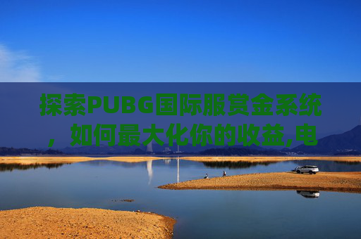 探索PUBG国际服赏金系统，如何最大化你的收益,电线为什么是两根
