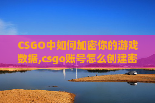 CSGO中如何加密你的游戏数据,csgo账号怎么创建密码设置不了