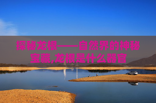 探秘龙根——自然界的神秘宝藏,龙根是什么器官