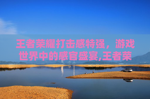 王者荣耀打击感特强，游戏世界中的感官盛宴,王者荣耀打击感特强的英雄