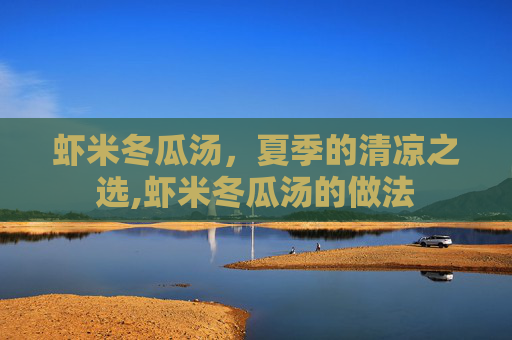 虾米冬瓜汤，夏季的清凉之选,虾米冬瓜汤的做法