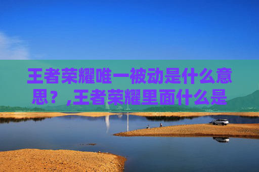 王者荣耀唯一被动是什么意思？,王者荣耀里面什么是被动