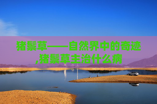 猪鬃草——自然界中的奇迹,猪鬃草主治什么病