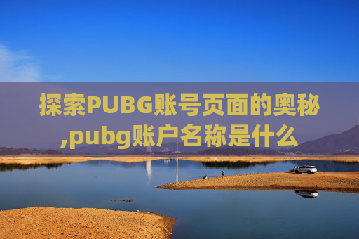 探索PUBG账号页面的奥秘,pubg账户名称是什么
