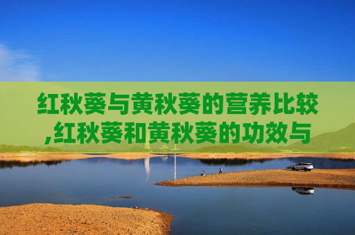 红秋葵与黄秋葵的营养比较,红秋葵和黄秋葵的功效与作用