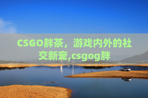 CSGO胖茶，游戏内外的社交新宠,csgog胖