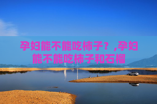 孕妇能不能吃柿子？,孕妇能不能吃柿子和石榴
