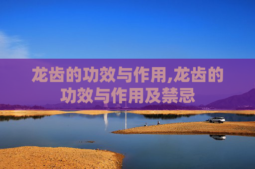 龙齿的功效与作用,龙齿的功效与作用及禁忌