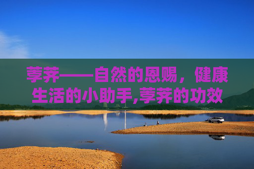 荸荠——自然的恩赐，健康生活的小助手,荸荠的功效与作用禁忌和食用方法