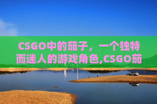 CSGO中的茄子，一个独特而迷人的游戏角色,CSGO茄子