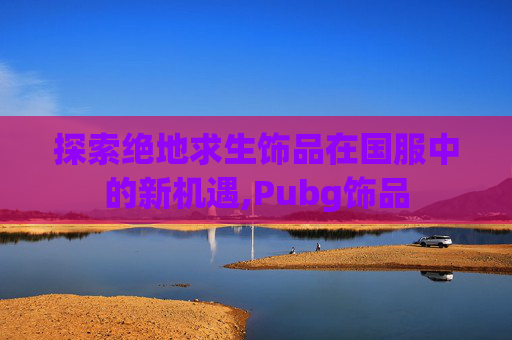 探索绝地求生饰品在国服中的新机遇,Pubg饰品