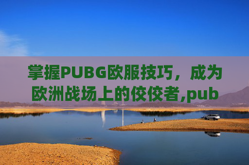 掌握PUBG欧服技巧，成为欧洲战场上的佼佼者,pubg怎么打欧美服