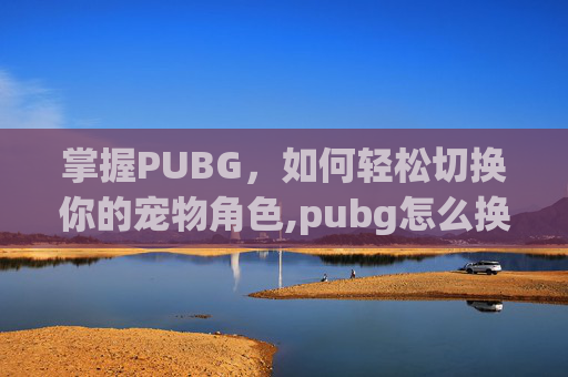 掌握PUBG，如何轻松切换你的宠物角色,pubg怎么换自己的皮肤