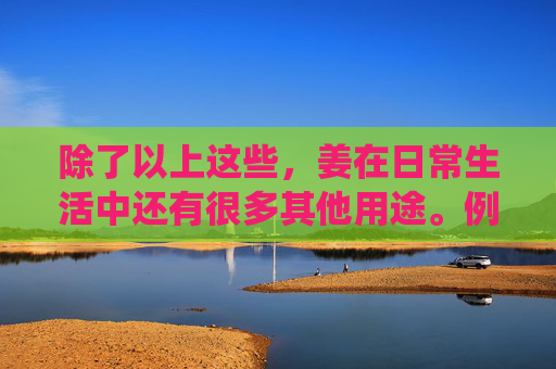 除了以上这些，姜在日常生活中还有很多其他用途。例如，姜可以驱除蚊虫叮咬，防止蚊虫传播的疾病；姜还可以作为天然的护肤品，具有美白、抗衰老的作用。在炎热的夏季，用姜水洗脸或者泡澡，可以带来清凉的感觉。,姜好传媒有限公司