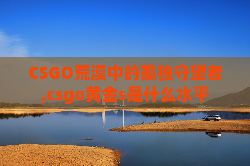 CSGO荒漠中的孤独守望者,csgo黄金s是什么水平