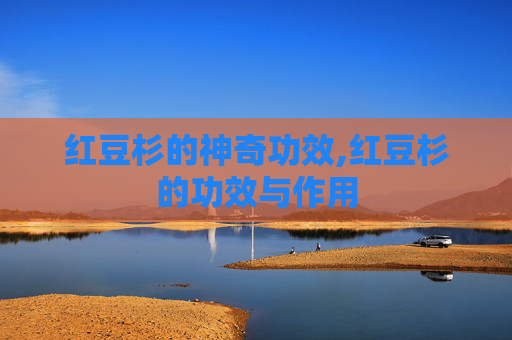 红豆杉的神奇功效,红豆杉的功效与作用