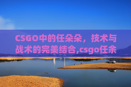 CSGO中的任朵朵，技术与战术的完美结合,csgo任余朵