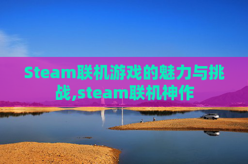 Steam联机游戏的魅力与挑战,steam联机神作