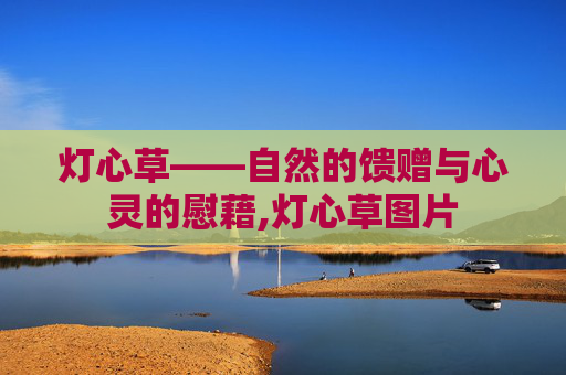 灯心草——自然的馈赠与心灵的慰藉,灯心草图片