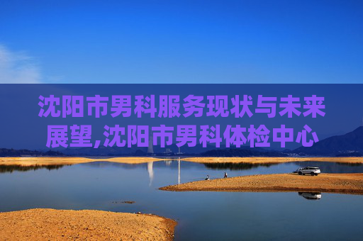 沈阳市男科服务现状与未来展望,沈阳市男科体检中心 沈阳市男科服务现状与未来展望,沈阳市男科体检中心