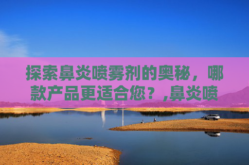 探索鼻炎喷雾剂的奥秘，哪款产品更适合您？,鼻炎喷雾剂哪个好用