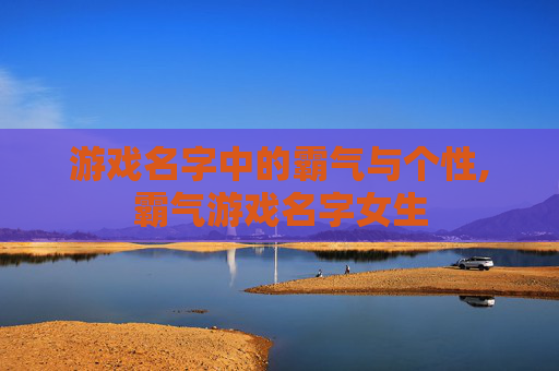 游戏名字中的霸气与个性,霸气游戏名字女生