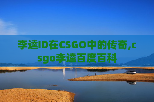 李逵ID在CSGO中的传奇,csgo李逵百度百科