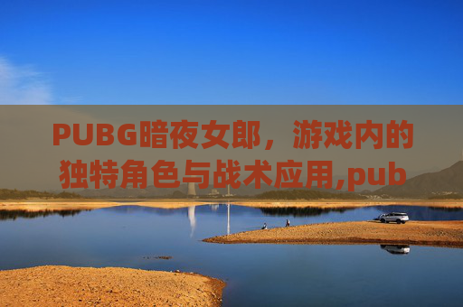 PUBG暗夜女郎，游戏内的独特角色与战术应用,pubg暗夜追踪者手套