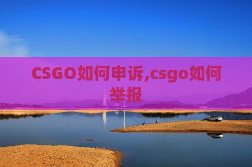 CSGO如何申诉,csgo如何举报